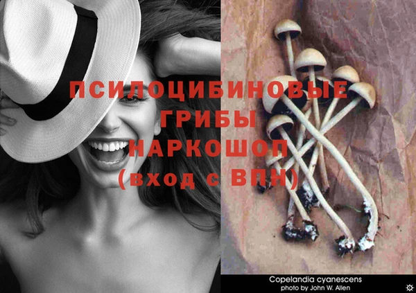 марки lsd Беломорск